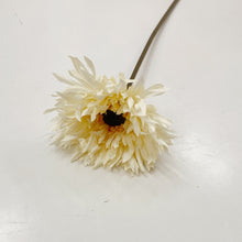 Load image into Gallery viewer, DRIED LOOK DAISY - OFF WHITE
