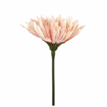Load image into Gallery viewer, Artificial Dried Look Daisy