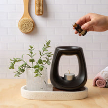 Load image into Gallery viewer, FRAGRANCE OIL - LIME & COCONUT