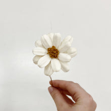 Load image into Gallery viewer, DRIED AFRICAN DAISY - WHITE