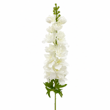 Load image into Gallery viewer, Delphinium Stem