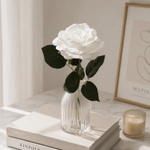 Load image into Gallery viewer, Everlasting Rose