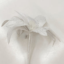 Load image into Gallery viewer, WHITE POINSETTIA