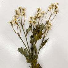 Load image into Gallery viewer, Decorative faux daisy flower stem for home décor