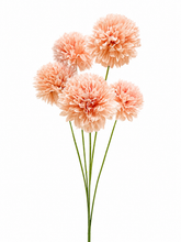 Load image into Gallery viewer, Chrysanthemum Pom Pom Stem