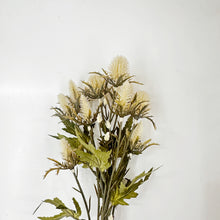 Load image into Gallery viewer, SEA HOLLY SPRAY - CREAM