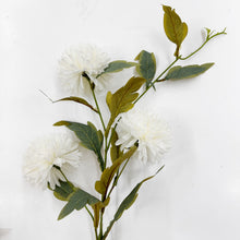 Load image into Gallery viewer, CHRYSANTHEMUM POM POM - WHITE