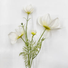 Load image into Gallery viewer, Gesang Stem
