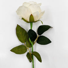 Load image into Gallery viewer, VELVET ROSE - CHAMPAGNE