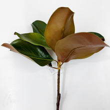 Load image into Gallery viewer, Artificial Magnolia Stem