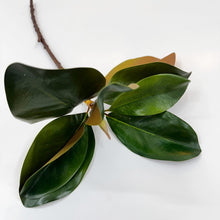 Load image into Gallery viewer, Artificial Magnolia Stem
