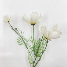 Load image into Gallery viewer, LARGE GESENG STEM