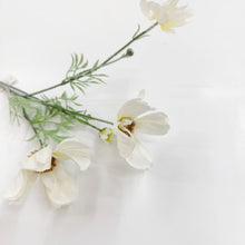Load image into Gallery viewer, LARGE GESENG STEM