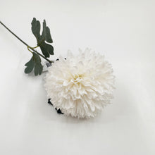 Load image into Gallery viewer, Chrysanthemum Pom Pom Stem