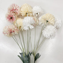Load image into Gallery viewer, CHRYSANTHEMUM POM POM - OFF WHITE
