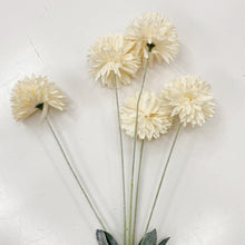 Load image into Gallery viewer, CHRYSANTHEMUM POM POM - OFF WHITE