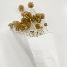 Load image into Gallery viewer, Natural Scabiosa Bunch