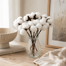 Load image into Gallery viewer, Preserved Cotton Stem