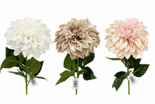 Load image into Gallery viewer, EVERLASTING DAHLIA