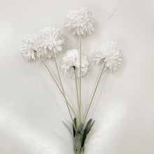 Load image into Gallery viewer, CHRYSANTHEMUM POM POM - WHITE