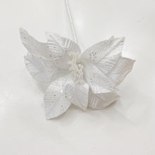 Load image into Gallery viewer, WHITE POINSETTIA