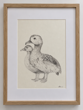 Load image into Gallery viewer, Original Hand-Drawn Duck Artwork | Natural Timber Frame