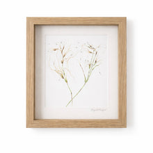 Load image into Gallery viewer, Australian Native Rough Spear Grass framed botanical wall art in neutral tones