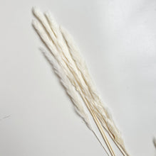 Load image into Gallery viewer, Fluffy Pampas Stems