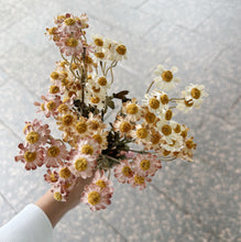 Load image into Gallery viewer, Artificial dried daisy stem in neutral tones for vase styling