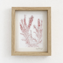 Load image into Gallery viewer, Native red cascading bottlebrush with superb wrens framed wall art in light oak timber frame
