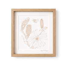 Load image into Gallery viewer, Orange Coastal Banksia and Teddy Bear Bee framed botanical wall art in wood look frame