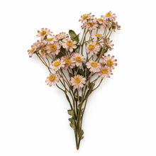 Load image into Gallery viewer, Dusty pink artificial daisy stems isolated on white background for vase styling