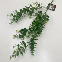Load image into Gallery viewer, EUCALYPTUS STEM