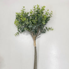 Load image into Gallery viewer, EUCALYPTUS BUNCH