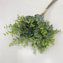 Load image into Gallery viewer, EUCALYPTUS BUNCH