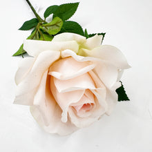 Load image into Gallery viewer, REAL TOUCH ROSE - CHAMPAGNE