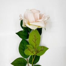 Load image into Gallery viewer, REAL TOUCH ROSE - CHAMPAGNE