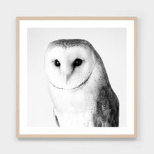 Load image into Gallery viewer, BARN OWL FRAMED PRINT