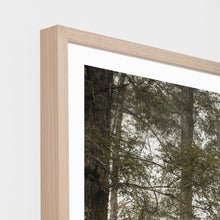 Load image into Gallery viewer, BUSHLAND CLEARING FRAMED PRINT