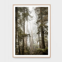 Load image into Gallery viewer, BUSHLAND CLEARING FRAMED PRINT