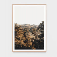 Load image into Gallery viewer, BUSHLAND OUTLOOK FRAMED PRINT