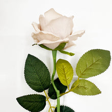 Load image into Gallery viewer, VELVET ROSE - NUDE