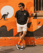 Load image into Gallery viewer, Novelty socks - Kangaroo
