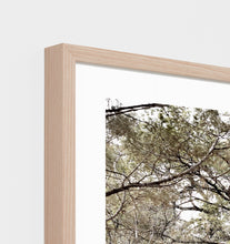 Load image into Gallery viewer, AUSTRALIAN BUSH FRAMED PRINT