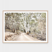 Load image into Gallery viewer, AUSTRALIAN BUSH FRAMED PRINT