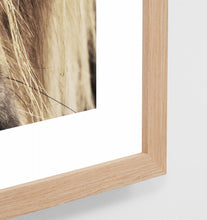 Load image into Gallery viewer, HIGHLAND PONY FRAMED PRINT