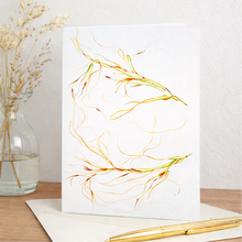 Load image into Gallery viewer, Native Rough Spear Grass | Greeting Card