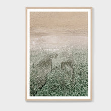 Load image into Gallery viewer, AERIAL SHALLOWS FRAMED PRINT