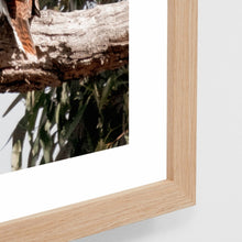 Load image into Gallery viewer, BIRDS EYE VIEW FRAMED PRINT