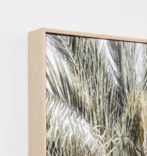 Load image into Gallery viewer, MEDITERRANEAN PALM CANVAS